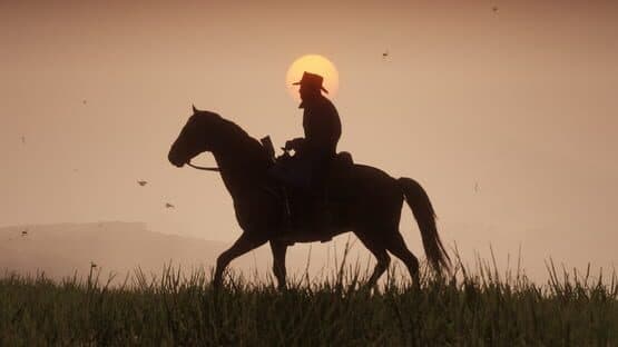 Captura de Red Dead Redemption 2
