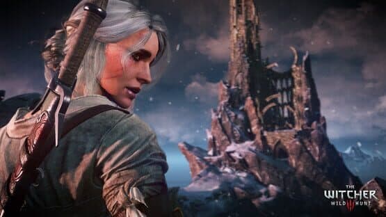 Captura de The Witcher 3: Wild Hunt